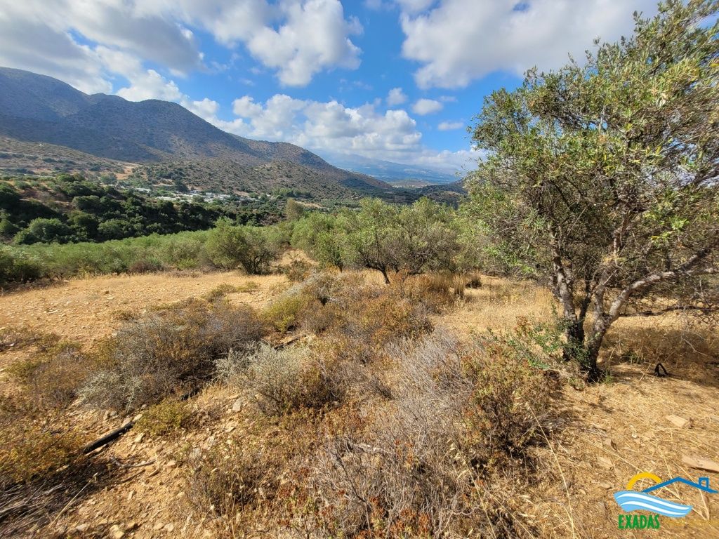869, Large plot of land in Exantis, Rethymno just 3 kms from Bali and beach