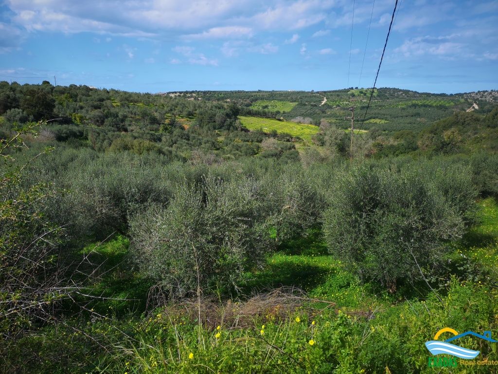 805, Large plot of land located in Achlades village, near Panormo and the beach