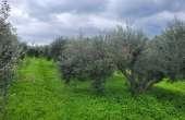 896, Large plot of land for sale in Pangalochori Rethymno