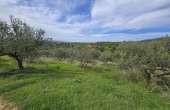 1003, Large buildable plot of land for sale in Siripidiana Rethymno