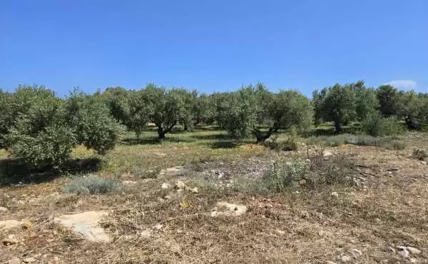 Grande appezzamento di terreno edificabile in vendita a Latzimas Rethymno