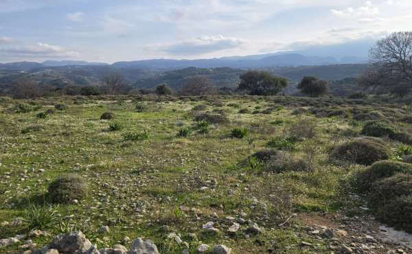 Large buildable plot of land for sale in Kato Valsamonero Rethymno