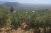 1060, Land for sale located near to Bali and Panormo Rethymno